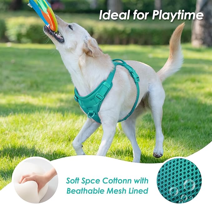 No Pull Dog Harness, Puppy Vest with Front Clip for Small Medium Large Sized Dog(MARRS Green,XL)-Mewly Pet