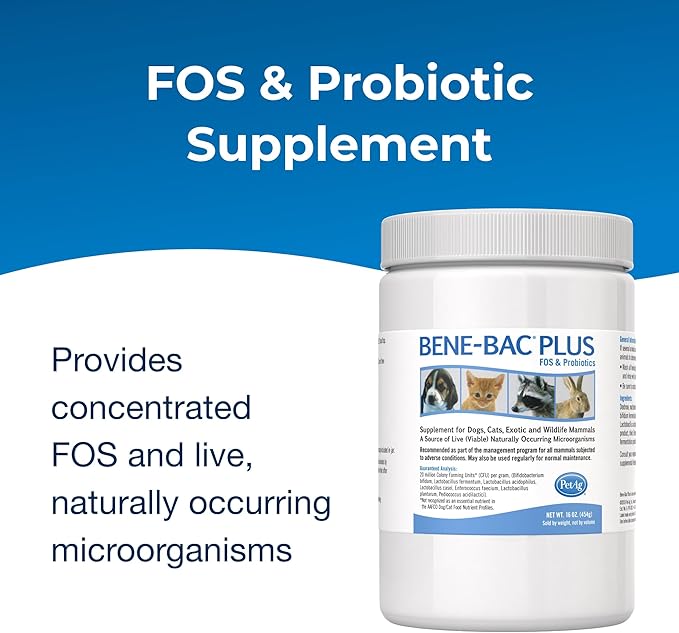 PetAg Bene-Bac Plus - 1 lb Powder - FOS & Probiotics for Dogs, Cats, Exotic & Wildlife Mammals-Mewly Pet