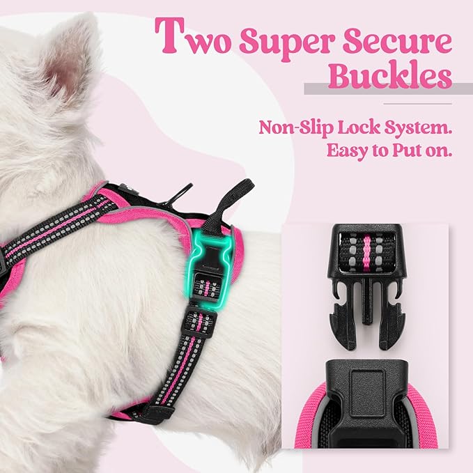 rabbitgoo Dog Harness No Pull with 2 Leash Clips, Adjustable Soft Padded, Reflective Oxford No Choke Pet Vest with Easy Control Handle for Large Dogs, Black & Hot Pink, XS-Mewly Pet