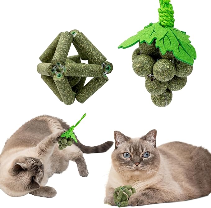 Cat Catnip Toys,2Pcs Catnip Ball for Cats,Toys for Indoor Cats,Cat Chew Exercise Toy for All Breeds and Species,Enhances Oral and Dental Health-Mewly Pet