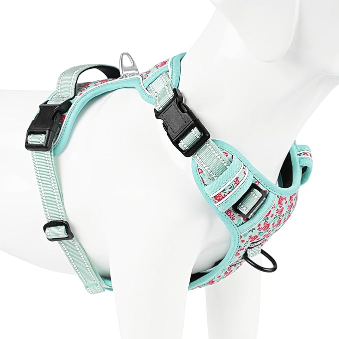 Timos Dog Harness,NO Need Go Over Dogs Head 3 Snap Buckles Pet Harness with 2 Leash Clips,Adjustable Soft Padded No-Pull,Reflective No-ChokeOxford Vest for Small Medium Large Dogs,X-Large(Packof1)-Mewly Pet