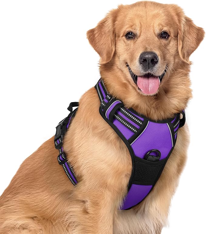 rabbitgoo Dog Harness No Pull with 2 Leash Clips, Adjustable Soft Padded, Reflective Oxford No Choke Pet Vest with Easy Control Handle for Large Dogs, Purple, XL-Mewly Pet