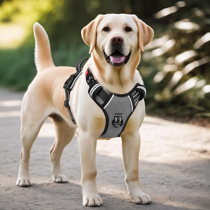 Timos Dog Harness Large Sized, No Pull with Neck Lockable Snap,No Choke Front Clip Dog Reflective Harness,Adjustable Metal Rings 3 Buckles,Easy Control Handle for Large Dogs Gray XL-Mewly Pet