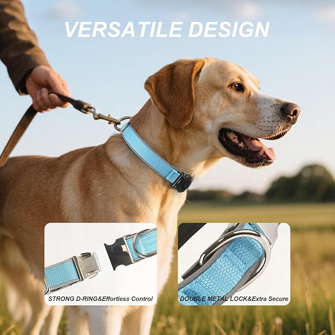 Waterproof Airtag Dog Collar - Nylon Collar with Durable Airtag Holder, Reflective&Anti-Lost with Safety Metal Buckle, Soft Padded Adjustable for Small Medium Large Dogs Blue S-Mewly Pet