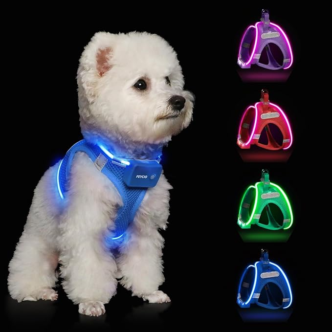 Light Up Dog Harness,Rechargeable LED Dog Harness for Small Medium Large Dogs,Reflective Lighted Safety Vest for Night Walking & Camping,Lightweight & Adjustable,Sky Blue,M-Mewly Pet