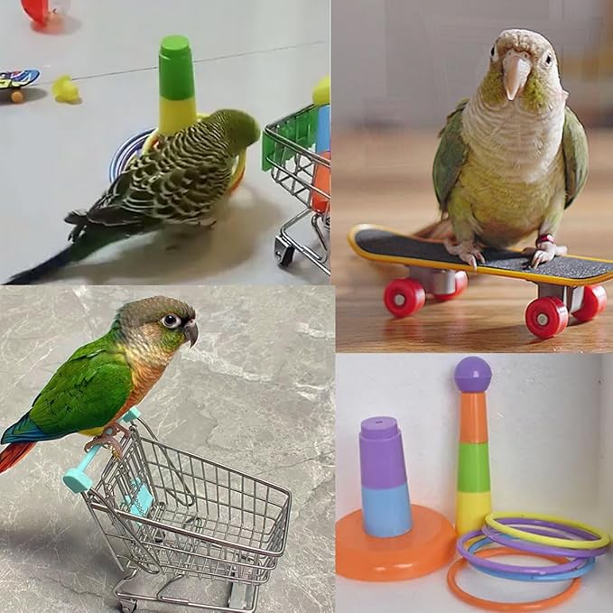 6pcs Interactive Puzzle Toy Set for Small Parrots - Training, Stress Relief, Include Coin Box, Bell Ball, Skateboard & Ferrule Toy for Bird Budgies, Cockatiels, Parakeet etc-Mewly Pet