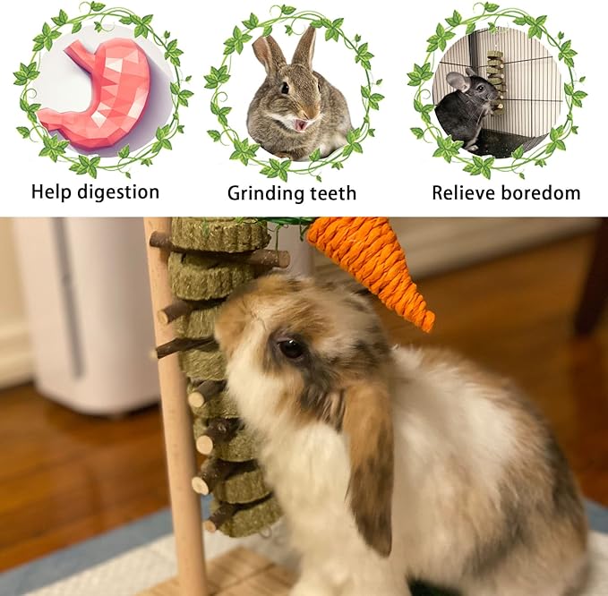 kathson Rabbit Chew Toys,Bunny Grind Teeth 100% Natural Organic Apple Wood Stick Improve Rodent Health Rabbits Hamsters Squirrel Guinea Pig(4 Pieces)-Mewly Pet