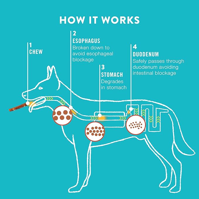 Collagen Rolls - 6" Collagen Rolls for Dogs - Long Lasting Healthy Joint Support Dog Treat - Rawhide Alternative - Skin & Coat Health - Made with Real Beef, 1 Bag, 4 Count-Mewly Pet