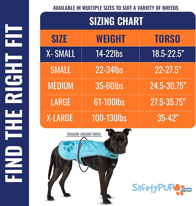 Dog Reflective Vest – Hi-Vis Fluorescent Visibility That Helps to Safeguard Your Pet On/Off Leash in Urban & Rural Areas (Teal, X-Small)-Mewly Pet