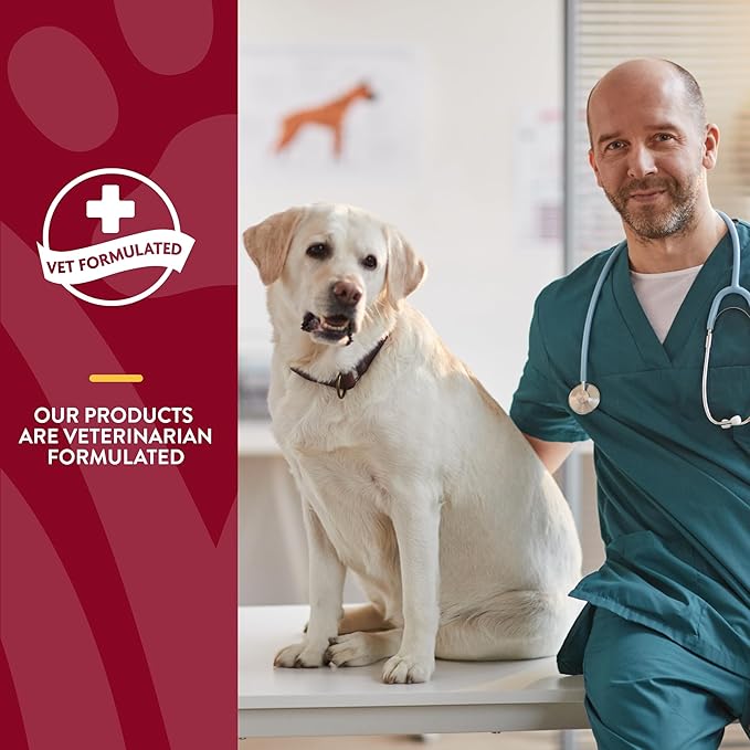 NaturVet – Cranberry Relief Plus Echinacea – Helps Support a Healthy Urinary Tract & Immune System – 60 Soft Chews-Mewly Pet