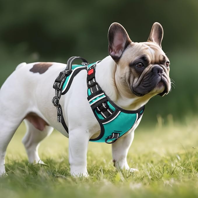Timos No Pull Dog Harness, Release at Neck Reflective 3 Snap Buckles Adjustable No Choke Pet Vest with Front & Back 2 Leash Clips, Soft Padded Control Training Handle for Small Medium Large Dogs-Mewly Pet