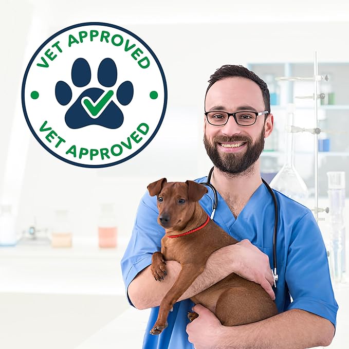 NOVEHA Probiotic Chews for Dogs | Gut Health & Digestive Support | Healthy Skin & Coat | Dog Probiotics for Yeast - Itchy Skin & Itchy Ears | for Dogs with Allergies | 90 Chews (1-Pack)-Mewly Pet