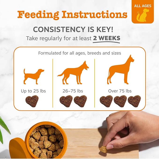 Zesty Paws Probiotics for Dogs - Digestive Enzymes for Gut Flora, Digestive Health, Diarrhea & Bowel Support - Clinically Studied DE111 - Dog Supplement Soft Chew for Pet Immune System - Pumpkin-Mewly Pet
