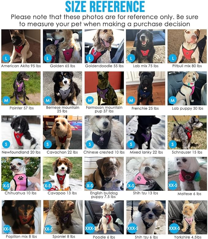 Lukovee Dog Seat Belt for Car, Adjustable Dog Car Harness for Large Medium Small Dogs, Soft Padded & Breathable Mesh Dog Seatbelt with Car Strap and Carabiner(Purple Double Clip,Large)-Mewly Pet