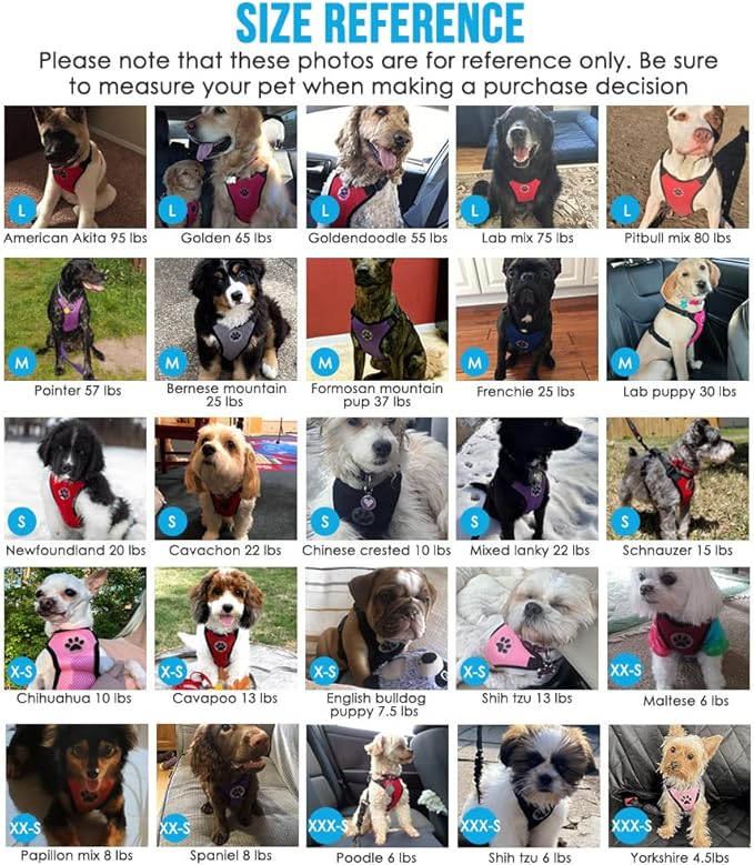 SlowTon Dog Seat Belt Harness for Car, Dog Car Harness Adjustable Mesh Breathable & Dog Seatbelt Safety Tether with Elastic Bungee for Small Medium Large Pets(Black, Single Clip, XS)-Mewly Pet