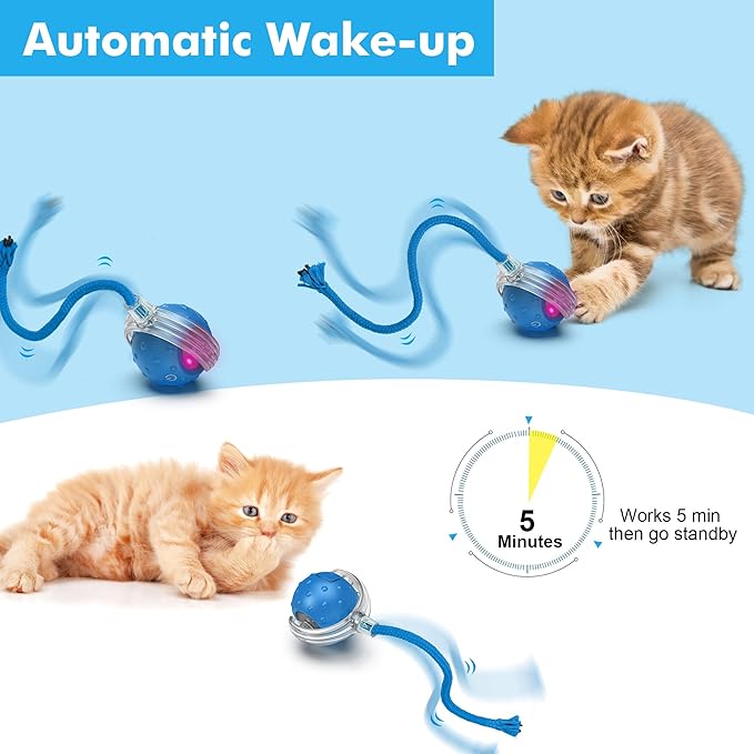 Cat Toys Ball for Indoor Cats - Interactive Automatic Cat Ball Toy | Fast Rolling & Motion Activated Chirping | Hide and Seek Mouse Catching Game | Stimulates Hunting Instinct (Blue)-Mewly Pet