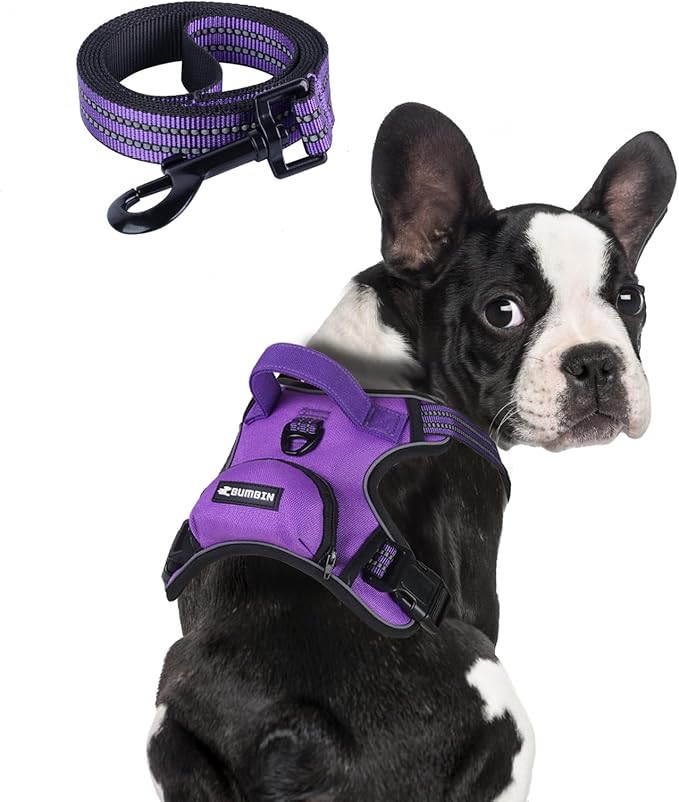 BUMBIN Dog Harness for Large Dogs, No Pull Adjustable No Choke Pet Vest with Dog Leash Fit Smart Reflective Pet Walking Harness for Training Easy Control Soft Handle Purple S-Mewly Pet