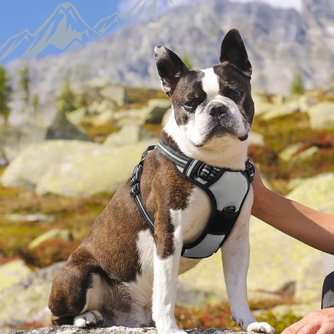 Eagloo Dog Harness Medium Sized Dog, No Pull Service Vest with Reflective Strips and Control Handle, Adjustable and Comfortable for Easy Walking, No Choke Pet Harness with 2 Metal Rings, Grey, M-Mewly Pet