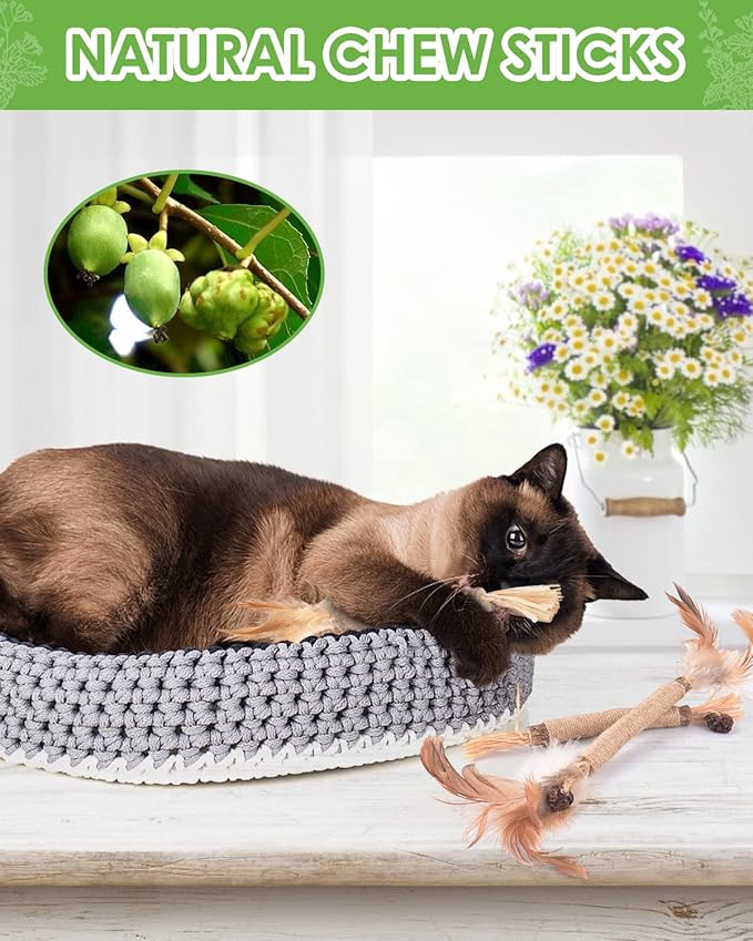 TINDTOP Silvervine Sticks for Cats with Natural Feather, Catnip Chew Toys for Kittens Teeth Cleaning, Increase Appetite, Calm Cat Anxiety and Stress, Cat Dental Toy (3 Pack)-Mewly Pet