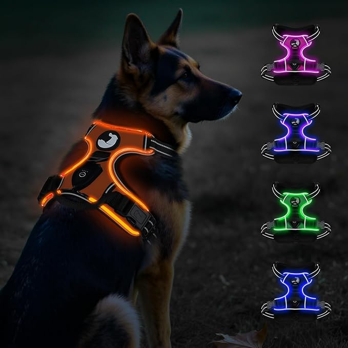 Taglory Light Up Dog Harness, Rechargeable No Pull Dog Vest with 3 Lightning Modes, Reflective Dog Harness with 2 Leash Clips & 4 Adjustable Slide Strips for Large Dogs, Orange-Orange, XL-Mewly Pet