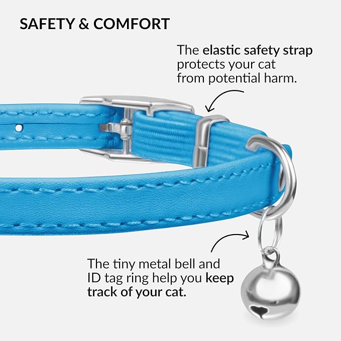 CollarDirect Leather Cat Collar with Bell - Kitten Collar, Small and Big Cat for Boy Cats, Girl Cats with Safety Elastic Strap (Neck Fit 6"-7", Light Blue)-Mewly Pet