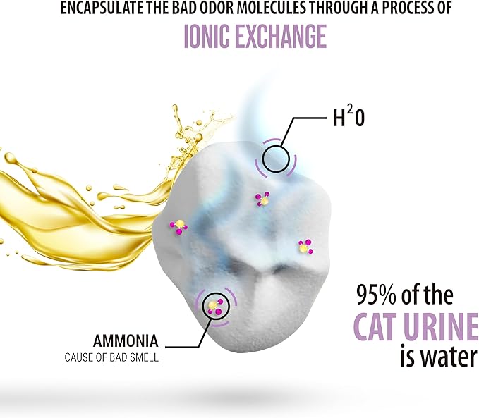 Skoon All Natural Cat Litter (2 Bags) - Lavender - Lightweight, Low Tracking, Non-Clumping Diatom Pebbles Absorb, Lock, and Seal Waste for Best Odor Control-Mewly Pet