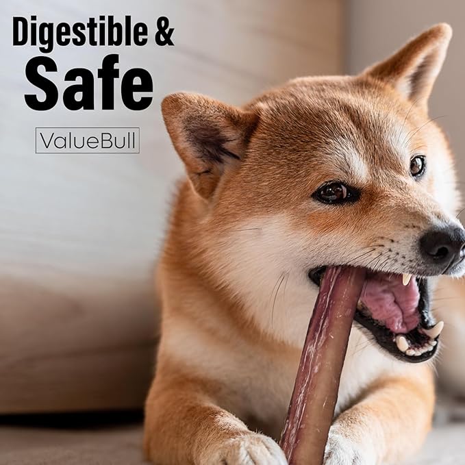 ValueBull Bully Sticks for Large Dogs, Jumbo 12 Inch, 25 Count - All Natural, Grass Fed, Single Ingredient, Long Lasting Dog Treats for Aggressive Chewers-Mewly Pet