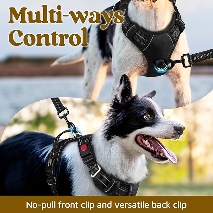rabbitgoo Dog Harness Small Sized, No Pull Dog Vest with 3 Buckles, Adjustable Soft Padded Pet Harness with Easy Control Handle and Reflective Strips, Black, S-Mewly Pet