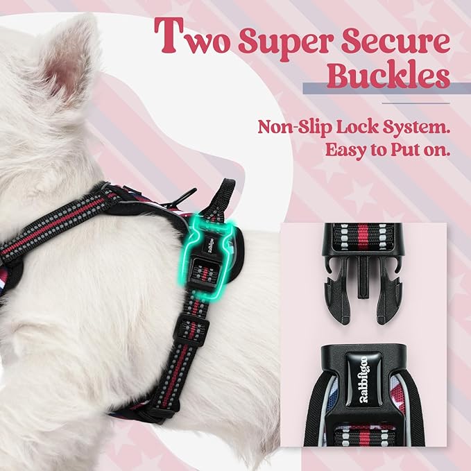 rabbitgoo Dog Harness No Pull with 2 Leash Clips, Adjustable Soft Padded, Reflective Oxford No Choke Pet Vest with Easy Control Handle for Large Dogs, Red Stripe, XS-Mewly Pet
