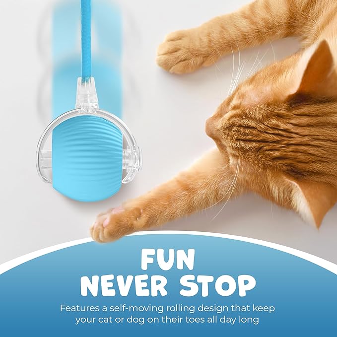 Pawlo Speedy Tail 2.0 Cat Toy –Teazys Turbo Tail Upgrade – Interactive Cat Toy – Kitten Toys – Automatic cat Toy for Boredom – Moving cat Toys for Indoor Cats with 2 Tails (Blue)-Mewly Pet