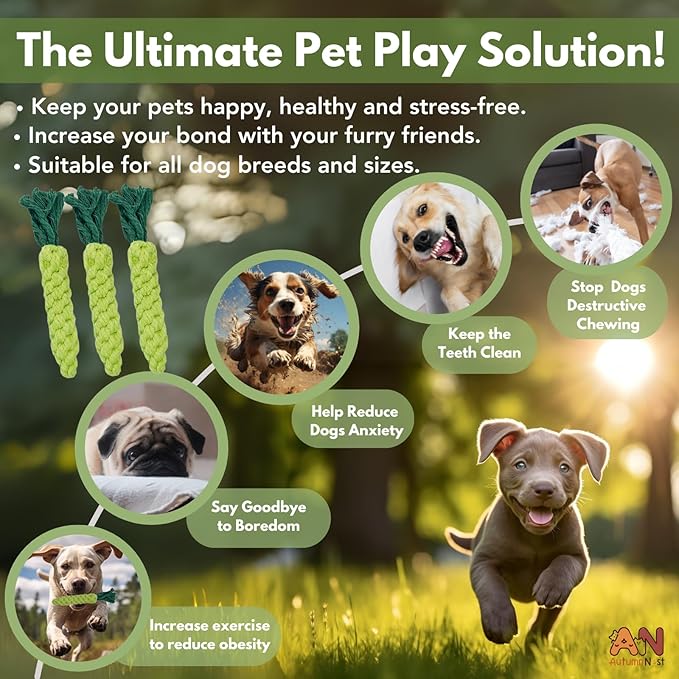 3PCS Green Woven Pet Chew Set, Dog Chew Accessories, Cat Interactive Chews, Safe & Durable Braided Chews for Dogs, Cats & More Pets-Mewly Pet