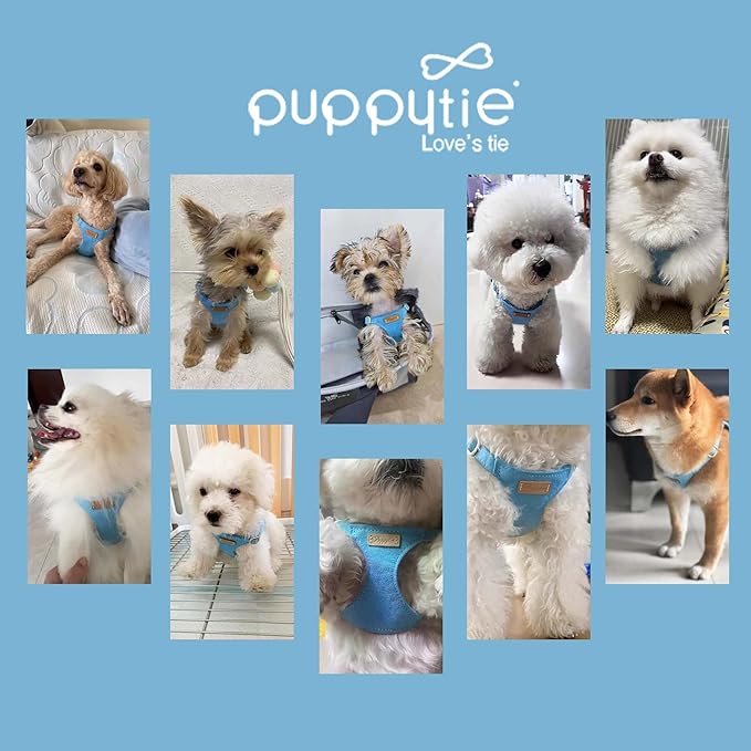 Puppytie No Pull Dog Harness with Multifunction Dog Leash,Soft Adjustable No Choke Escape Proof Pet Harness Vest for Medium Dogs or Large Dogs,Ocean Blue,M-Mewly Pet