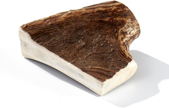 Buck Bone Organics Dog Chews, Moose Antlers for Dogs, Long Lasting Dog Bones for Aggressive Chewers, All Natural, No Preservatives, Wild Shed in The USA (Medium)-Mewly Pet
