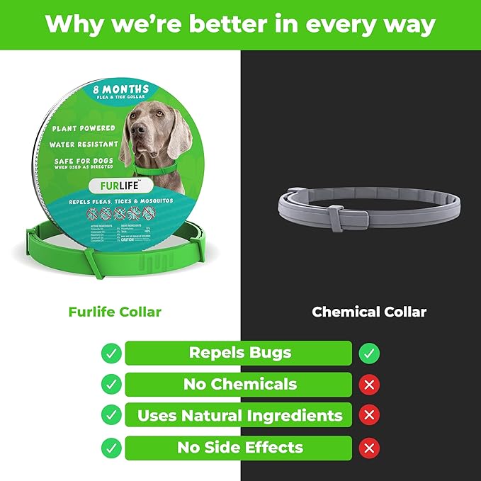 FurLife Flea and Tick Collar for Dogs – Waterproof Green Dog Collar, Pet Supplies for Tick and Flea Prevention for Dogs, Safe for All Breeds-Mewly Pet
