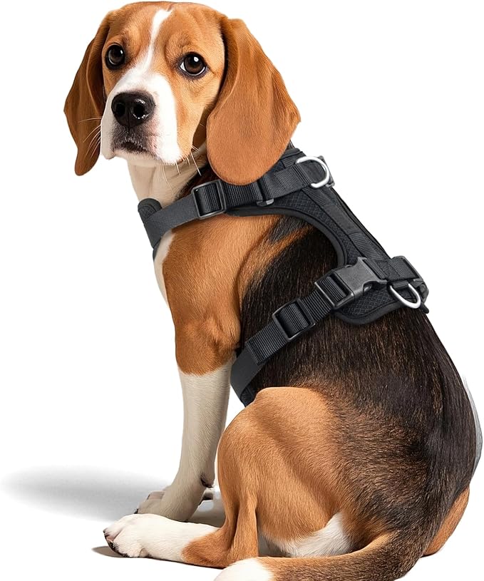 Wisedog Mesh Breathable Dog Harness: No Pull Harness with 3 Fast-Release Buckles Adjustable for Walking & Training for Small Medium Large Dogs (Black, L: Neck=20"-25"/Chest=17"-33")-Mewly Pet