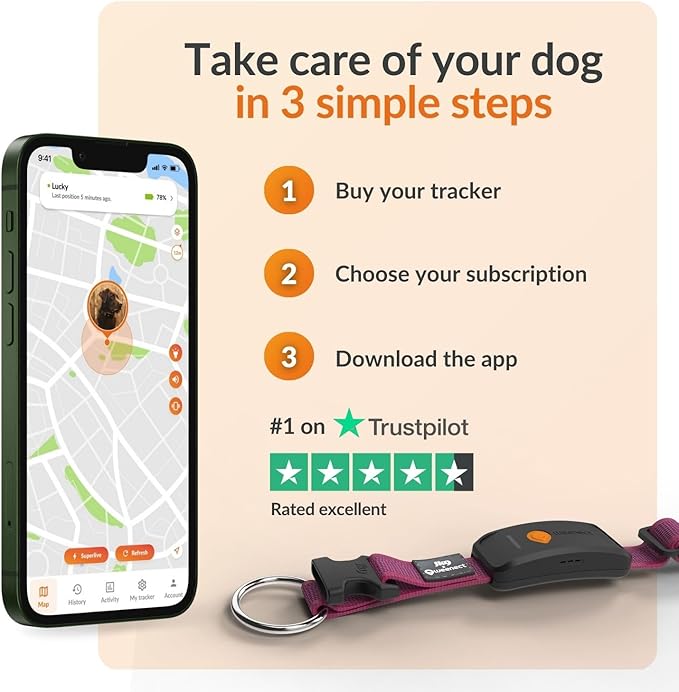 Weenect Dog XT - New GPS Collar for Dogs | XL Antenna | Waterproof | Ultra-Durable Integrated Julius-K9 Collar | Subscription Required-Mewly Pet