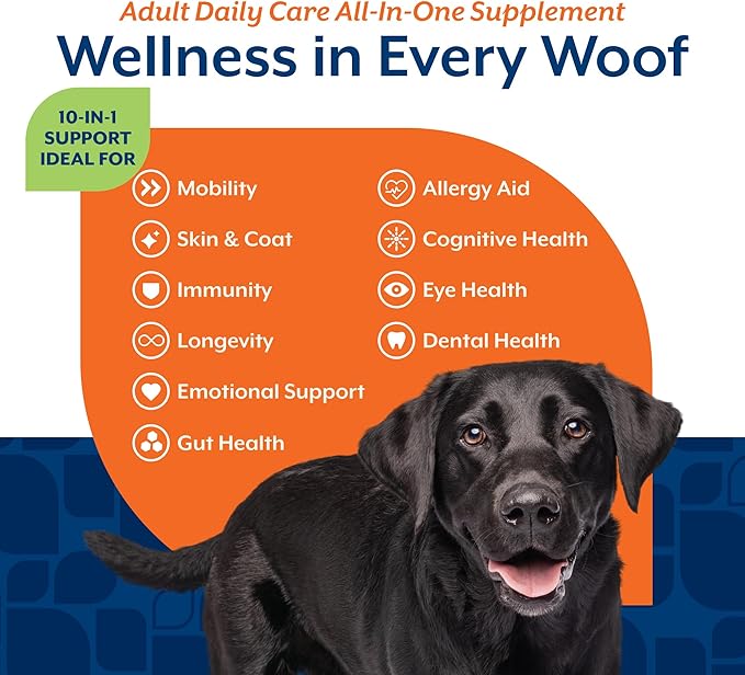 NaturVet All-in-One Adult Dog Daily Care, 10-in-1 Supplement Dog Soft Chews for Mobility, Skin, Digestion, Teeth, Cognition, Eyes, Hickory Smoked Bacon Flavored Pet Supplement for Dogs, 60 Count-Mewly Pet