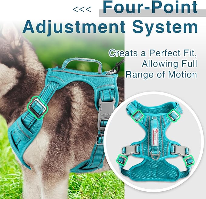 BARKBAY Dog Harness No Pull with ID Tag Pocket - Heavy Duty, Reflective, Easy Control for Large Dogs(Ocean Blue,L)-Mewly Pet