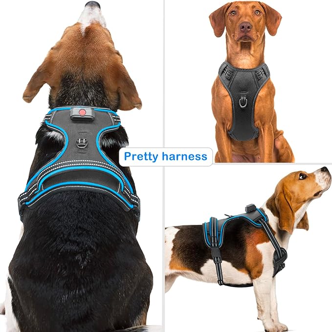 Rechargeable LED Dog Harness - No Pull, 4 Point Adjustable, Lighted Vest for Small/Medium/Large/X-Large Dogs-Mewly Pet