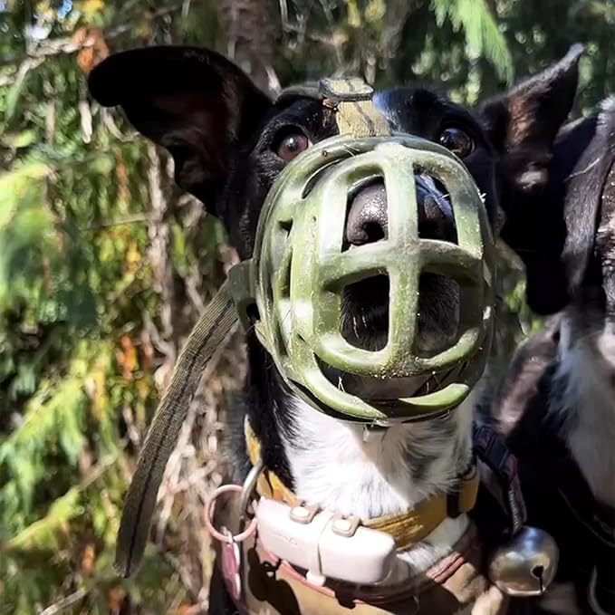 Mayerzon Dog Muzzle, Breathable Basket Muzzles for Small, Medium, Large and X-Large Aggressive Dogs Beagle German Shepherd Doberman, Cage Mouth Guard Stop Biting Chewing for Grooming Training-Mewly Pet