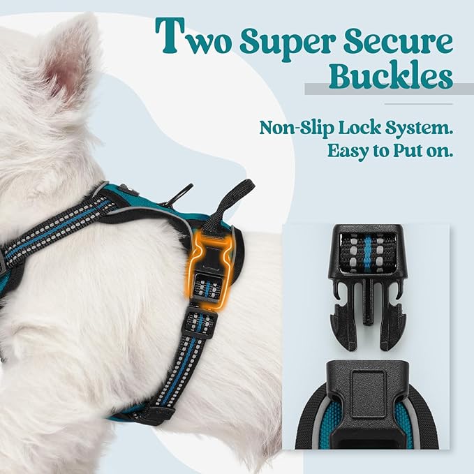 rabbitgoo Dog Harness No Pull with 2 Leash Clips, Adjustable Soft Padded, Reflective Oxford No Choke Pet Vest with Easy Control Handle for Puppy, Blue Coral, XS-Mewly Pet