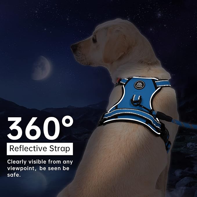IVY&LANE No Pull Dog Harness for Large Dogs, Dog Vest Harness with Leash, Safety Belt and Storage Strap, Fully Adjustable Harness, 360° Reflective Strip, Soft Handle (Blue,XL)-Mewly Pet