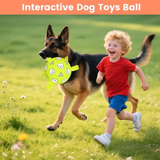 Dog Toys, Durable Dog Soccer Ball with Straps, Interactive Dog Toys, Water Fetch Ball for Tug of War, Puppy Toys for Indoor/Outdoor – Fun Dog Birthday Gift for Small & Medium Dogs, 6 Inch-Mewly Pet