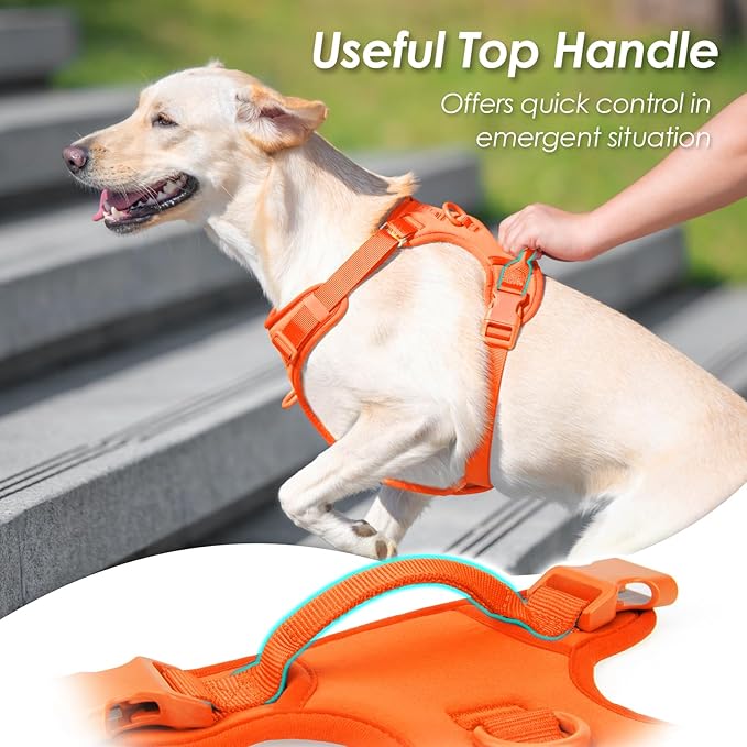 No Pull Dog Harness, Puppy Vest with Front Clip for Small Medium Large Sized Dog(Orange,L)-Mewly Pet
