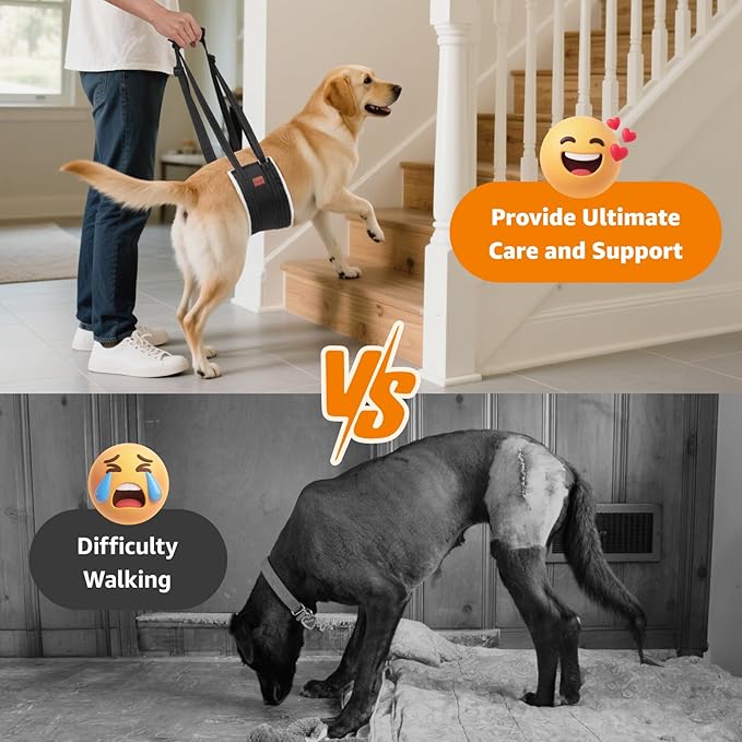 LOOBANI Portable Dog Sling for Back Legs, Hip Support Harness to Help Lift Rear for Canine Aid Old K9 Cruciate Ligament Rehabilitation-Mewly Pet