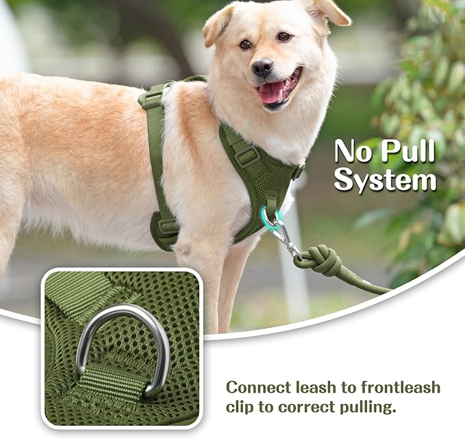 No Pull Dog Harness for Small Medium Large Dogs - Adjustable Two-Layer Mesh Dog Vest with Dual Clip, Escape Proof, Quick Release, Lightweight Breathable Mesh for Walking Hiking (Misty Green,L)-Mewly Pet