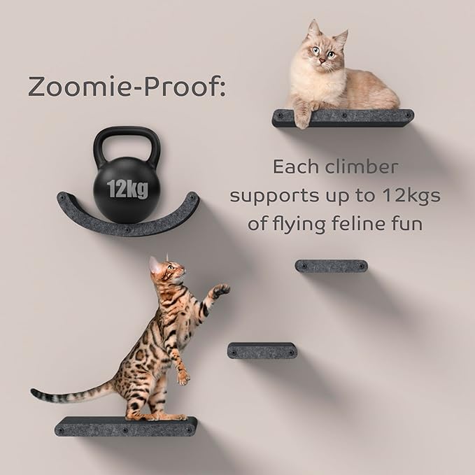 Wall Mounted Cat Steps Short Shelves (2) by Pryde Pets - Stairs for Walkways, 100% Sustainable PET Felt Feline Enrichment Climber Furniture for Indoor Cats, Modern Climbing Gym Design (Charcoal)-Mewly Pet