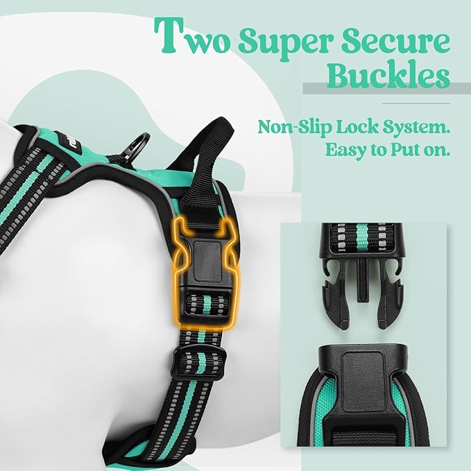 rabbitgoo Dog Harness No Pull with 2 Leash Clips, Adjustable Soft Padded, Reflective Oxford No Choke Pet Vest with Easy Control Handle for Large Dogs, Turquoise, L-Mewly Pet