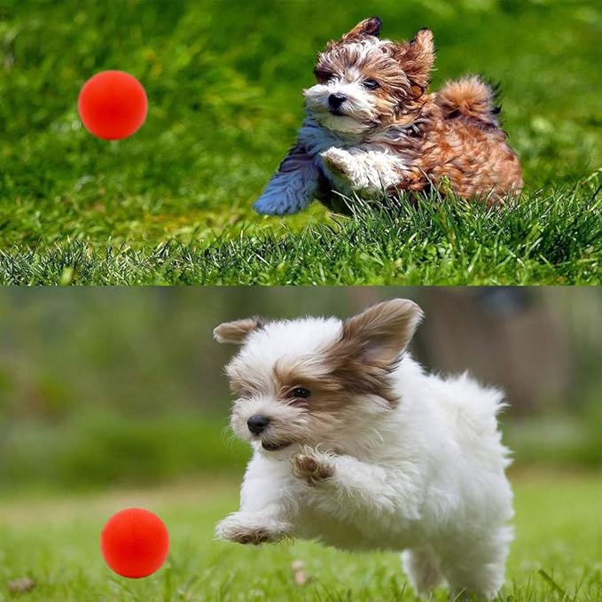 5 Different Functions Interactive Dog Toys for Puppies, Puppy Puzzle Toys for Small Dogs, Dog Balls for Small Dogs, Treat Dispensing Dog Toys, Squeaky Ball, Small Breed-Mewly Pet