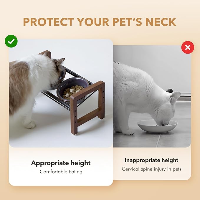 5.5inch Ceramic Adjustable Raised Double Bowls Set with Stand, 3 Heights Elevated, 2 Placement Options, Food and Water Dishes for Puppy, Cats（Double Bowls+Stand, Reactived Glaze -Grey-Mewly Pet